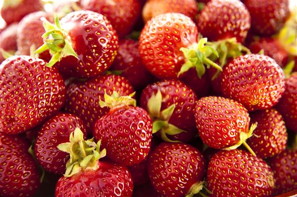 close up of fresh strawberries