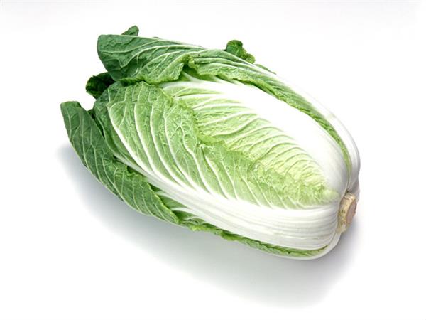 Chinese_Cabbage