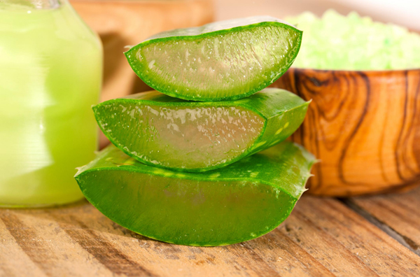 ว่านหางจระเข้