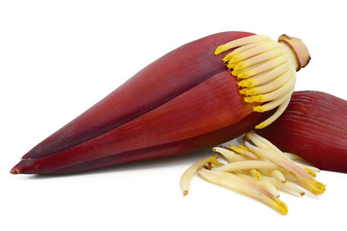 หัวปลี ผักสรรพคุณดี...กินต้านเซลล์มะเร็งได้